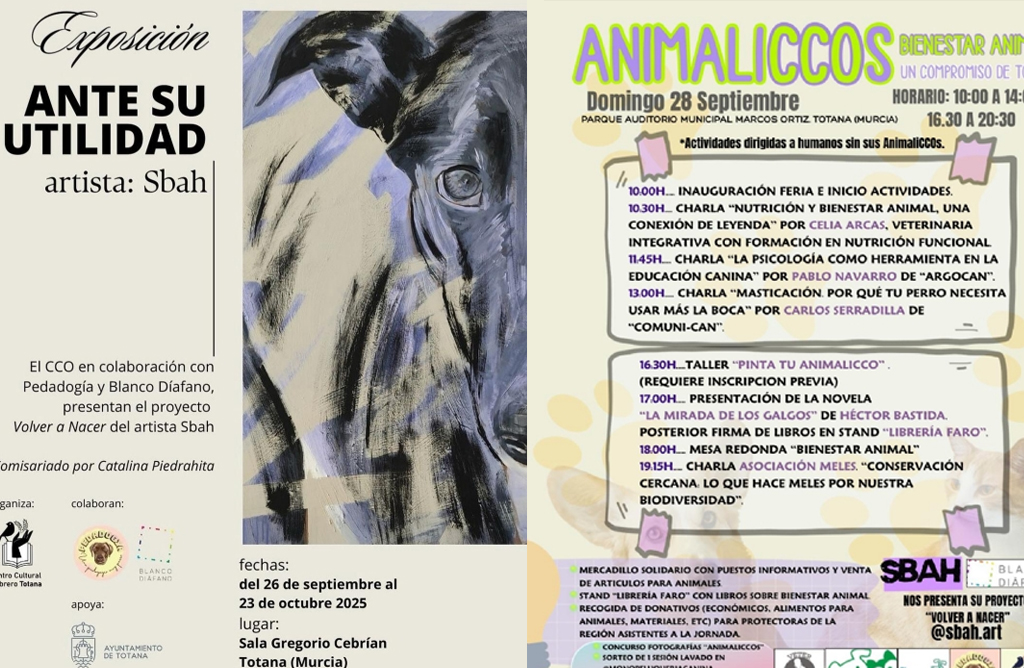 La muestra Ante su utilidad abre la temporada de exposiciones en Totana